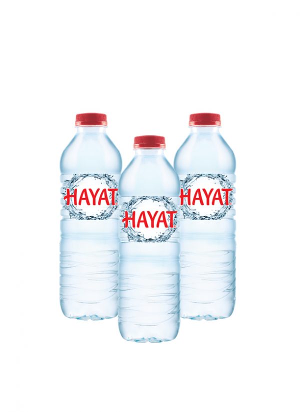 Hayat Natural Mineral Water
